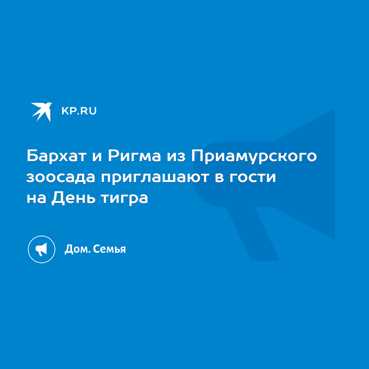 Бархат и Ригма из Приамурского зоосада приглашают в гости на День тигра -  KP.RU