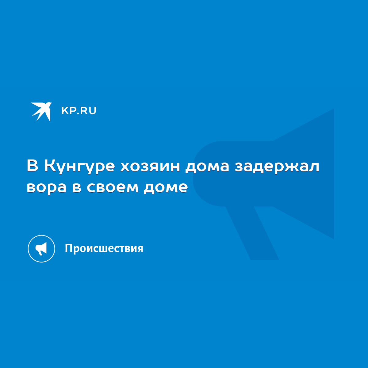 В Кунгуре хозяин дома задержал вора в своем доме - KP.RU