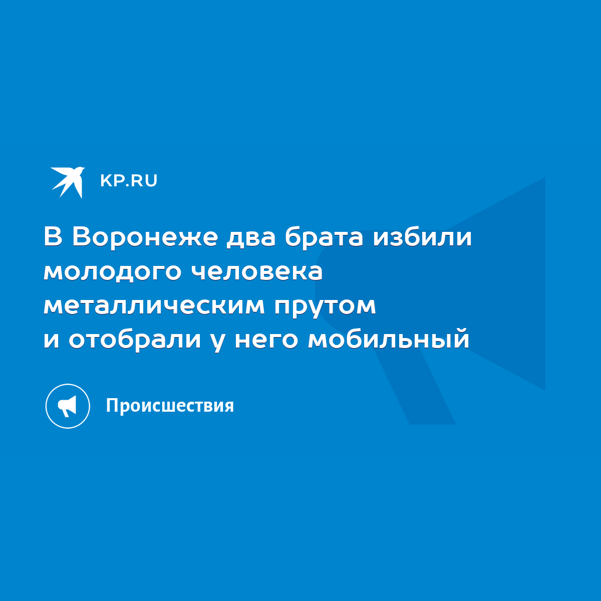 В Воронеже два брата избили молодого человека металлическим прутом и  отобрали у него мобильный - KP.RU