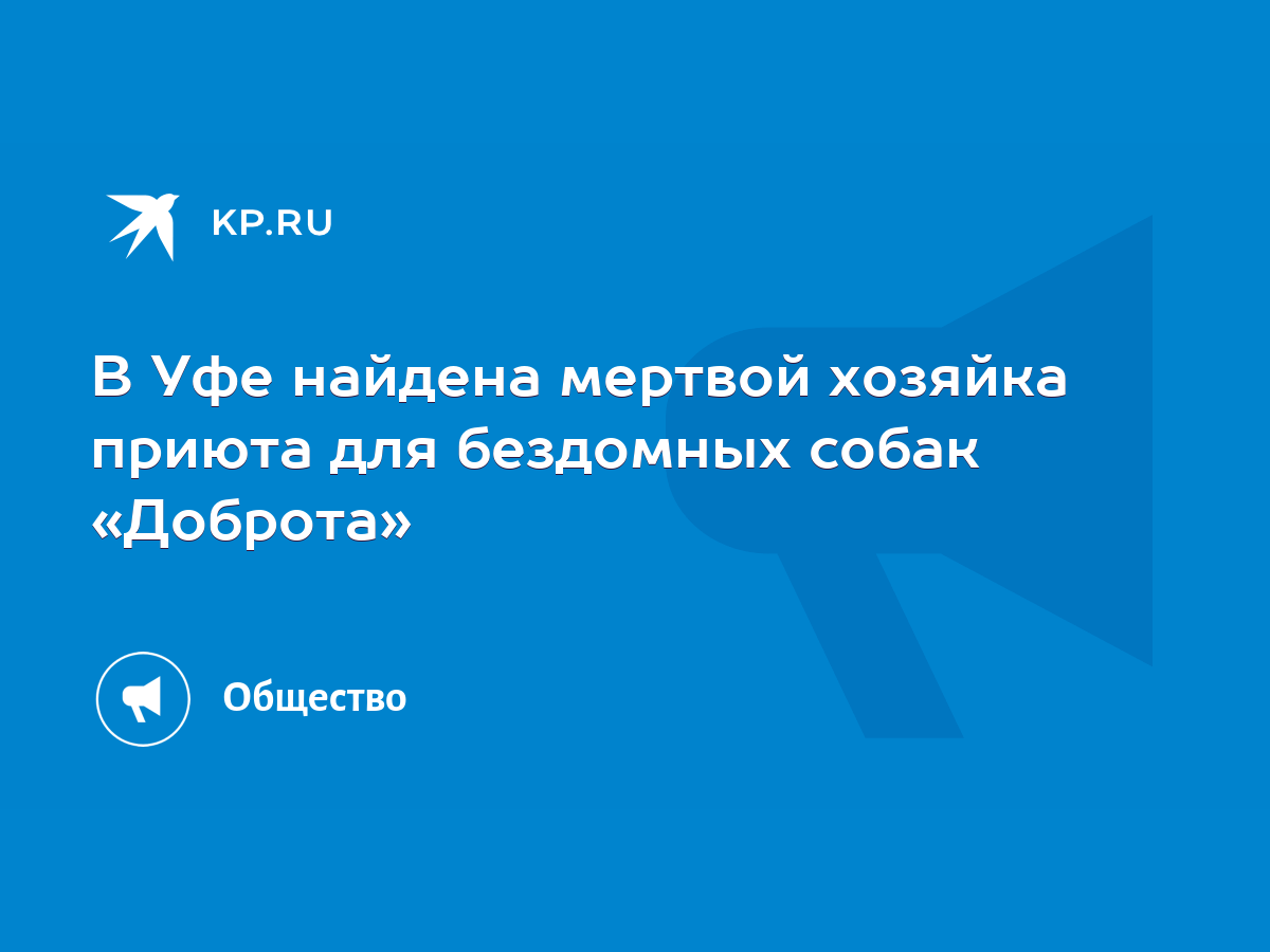 В Уфе найдена мертвой хозяйка приюта для бездомных собак «Доброта» - KP.RU