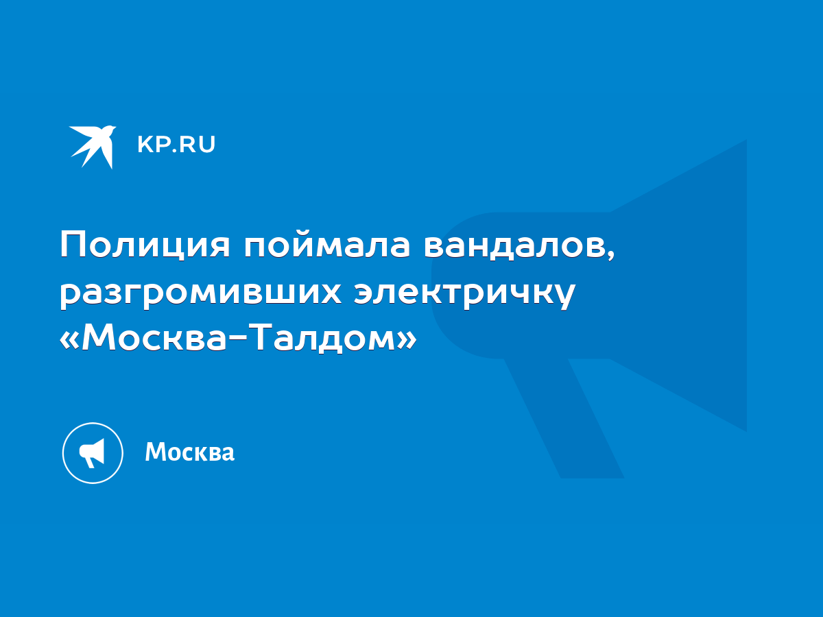 Полиция поймала вандалов, разгромивших электричку «Москва-Талдом» - KP.RU