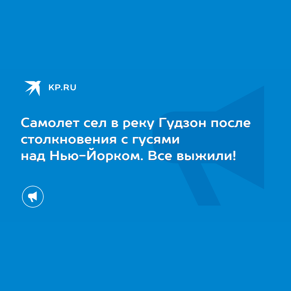 Самолет сел в реку Гудзон после столкновения с гусями над Нью-Йорком. Все  выжили! - KP.RU