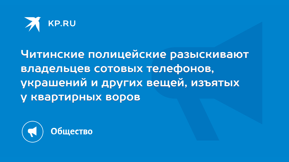 Читинские полицейские разыскивают владельцев сотовых телефонов, украшений и  других вещей, изъятых у квартирных воров - KP.RU