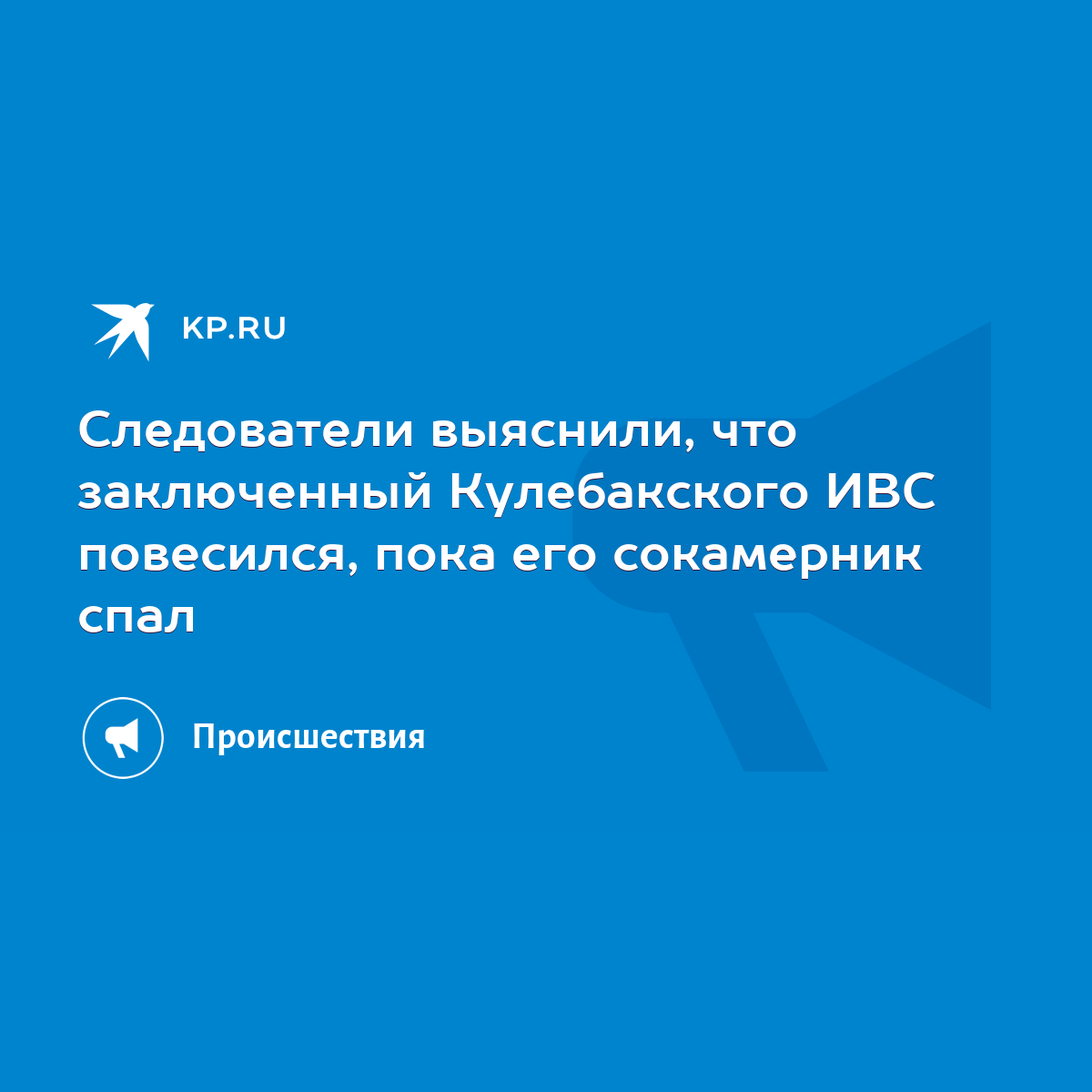 Следователи выяснили, что заключенный Кулебакского ИВС повесился, пока его  сокамерник спал - KP.RU