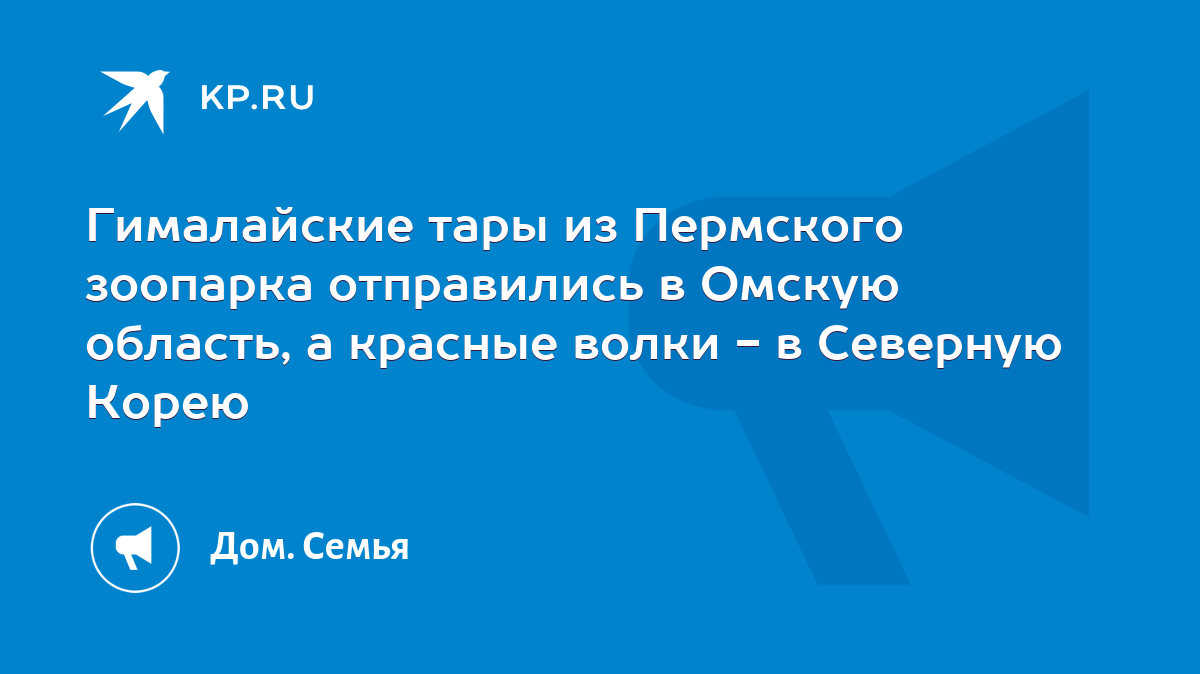 Гималайские тары из Пермского зоопарка отправились в Омскую область, а  красные волки - в Северную Корею - KP.RU