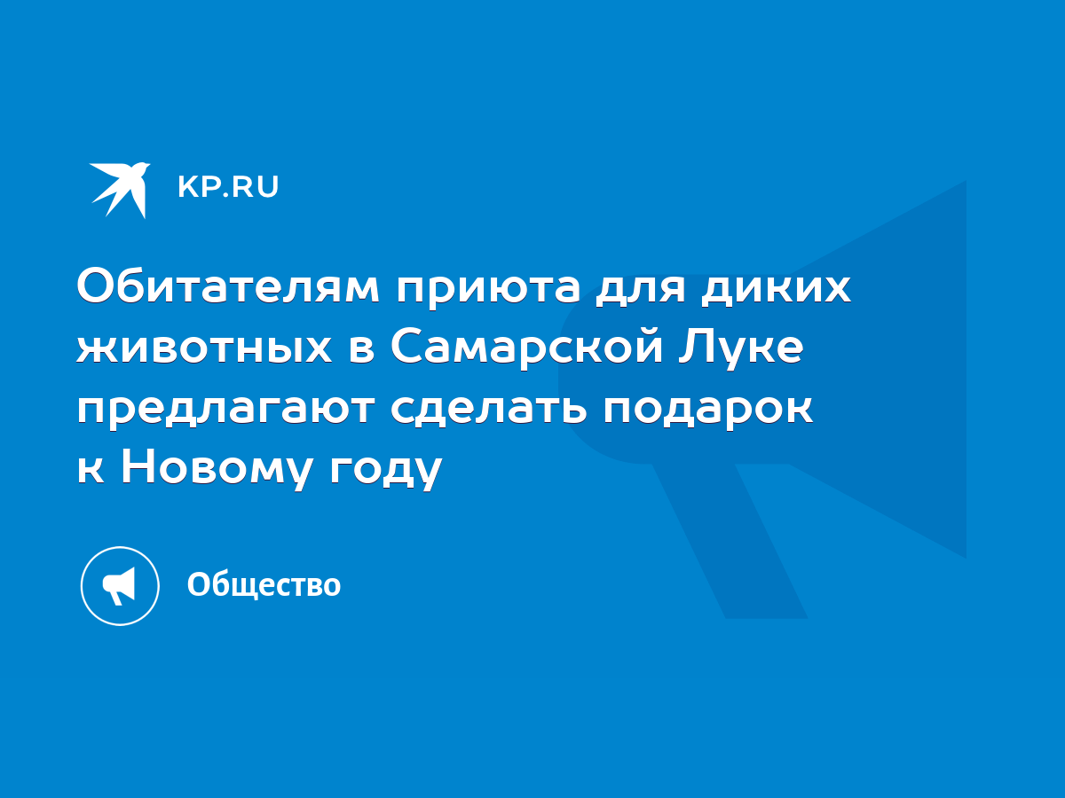 Обитателям приюта для диких животных в Самарской Луке предлагают сделать  подарок к Новому году - KP.RU