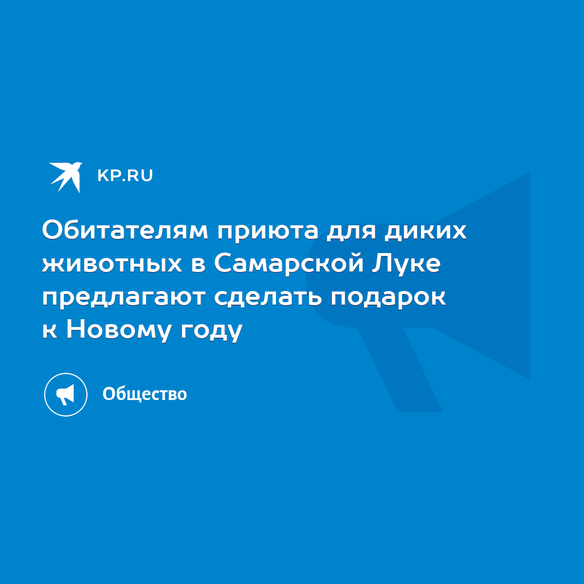 Обитателям приюта для диких животных в Самарской Луке предлагают сделать  подарок к Новому году - KP.RU