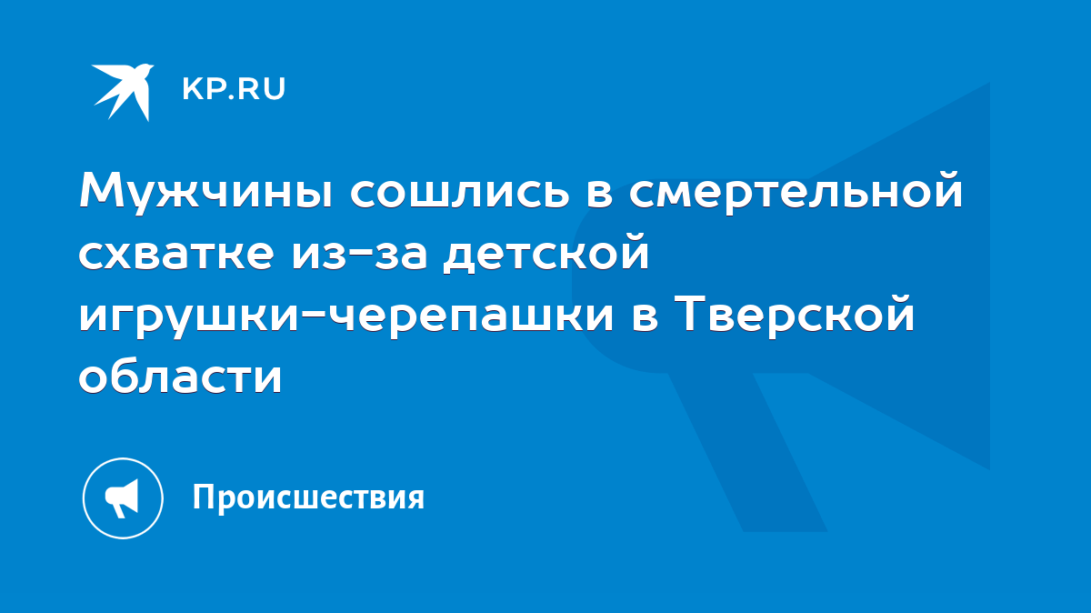 Мужчины сошлись в смертельной схватке из-за детской игрушки-черепашки в  Тверской области - KP.RU