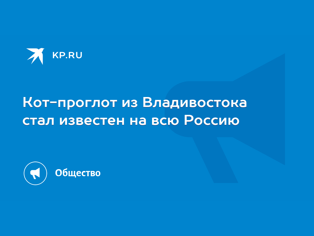 Кот-проглот из Владивостока стал известен на всю Россию - KP.RU