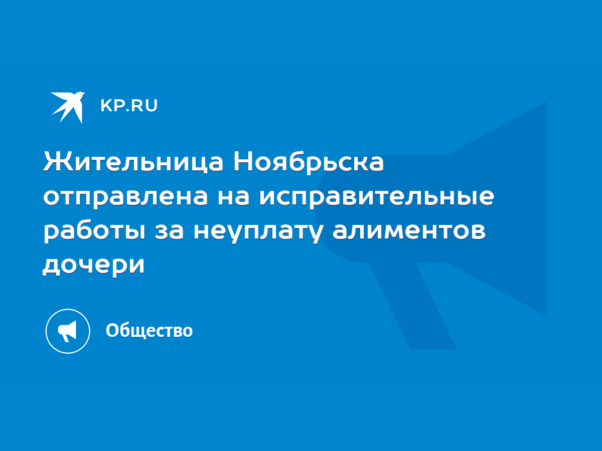 Жительница Ноябрьска отправлена на исправительные работы за неуплату  алиментов дочери - KP.RU