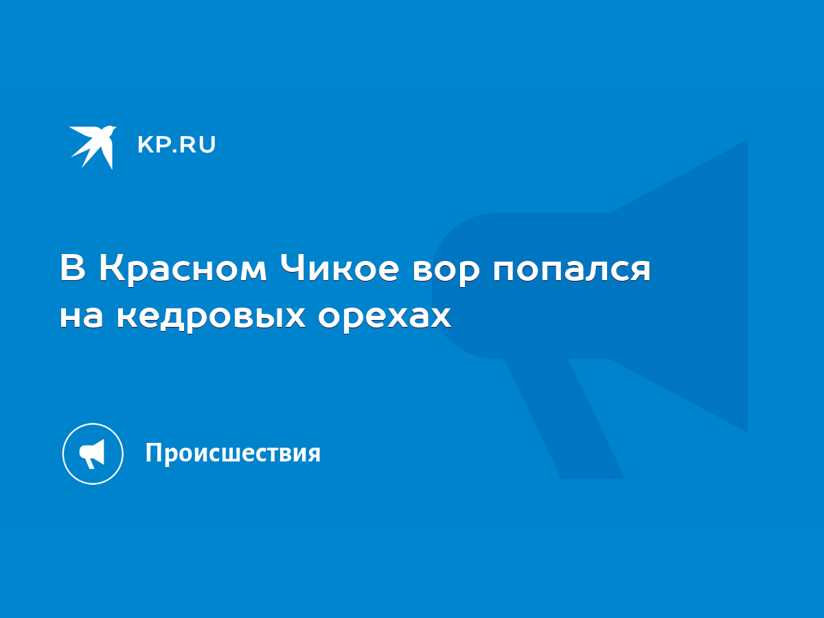 В Красном Чикое вор попался на кедровых орехах - KP.RU