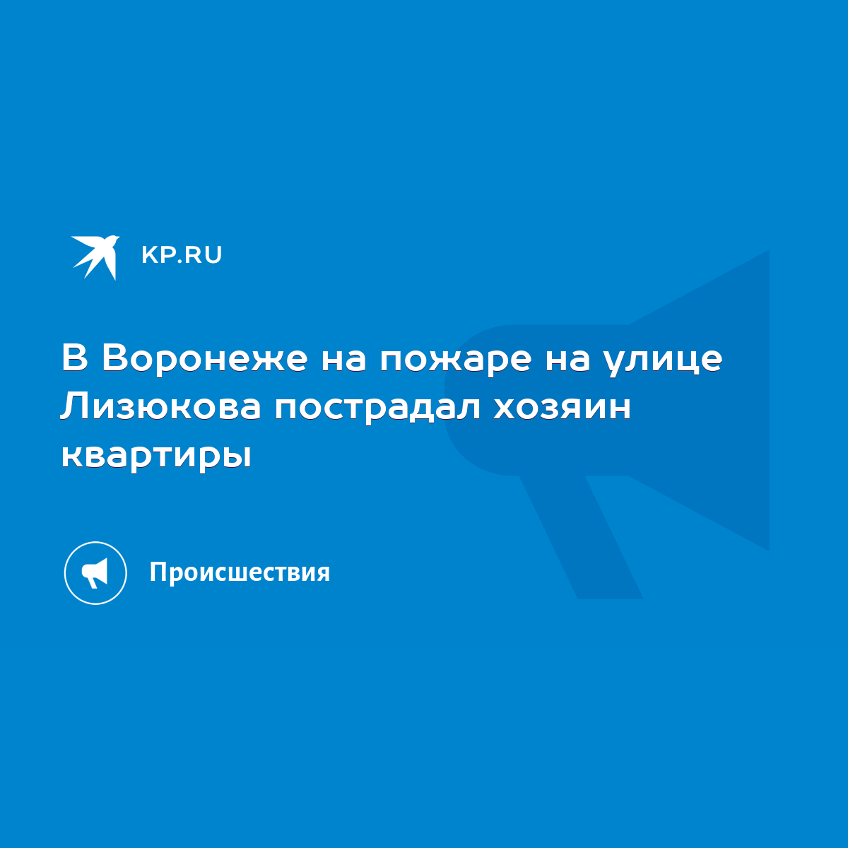 В Воронеже на пожаре на улице Лизюкова пострадал хозяин квартиры - KP.RU