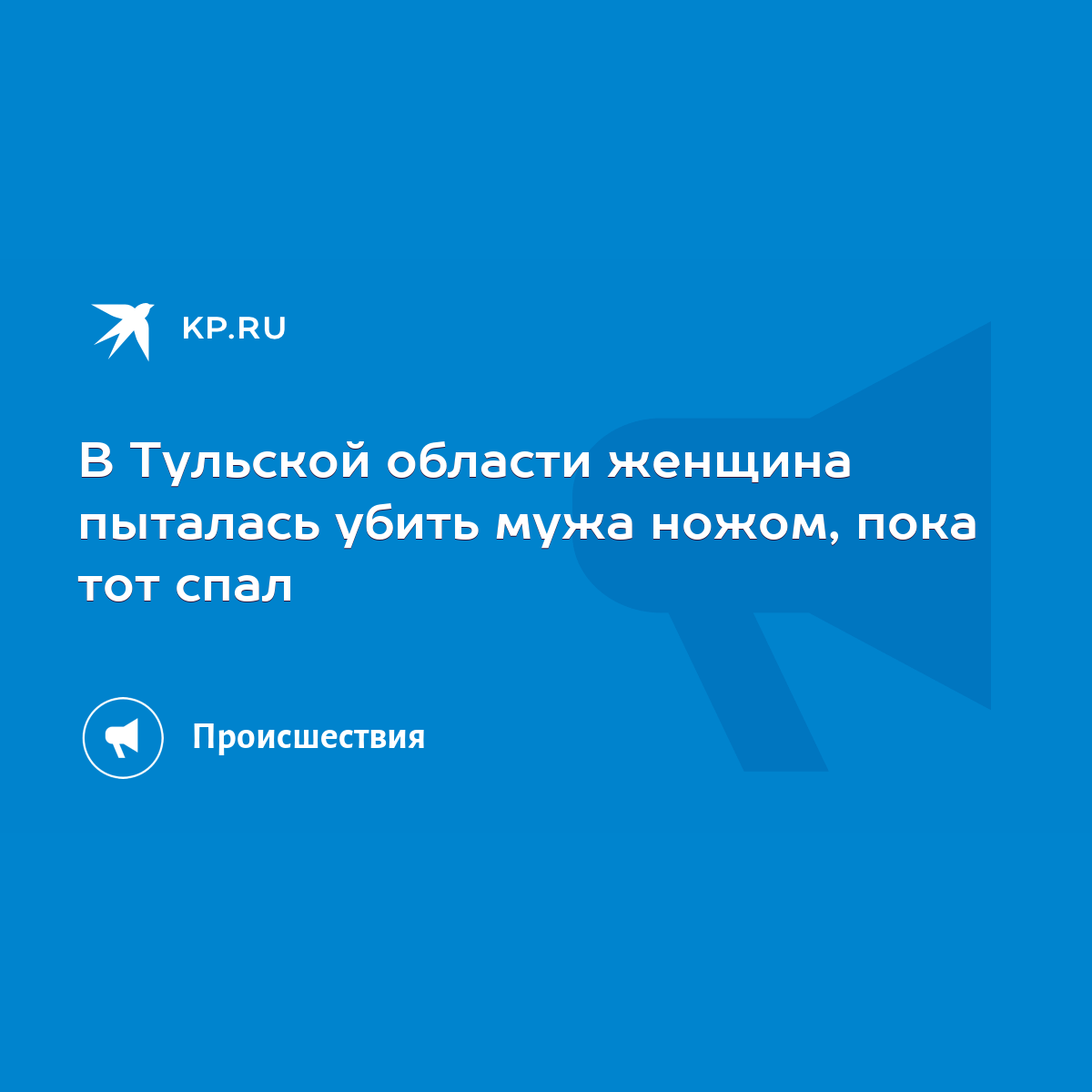 В Тульской области женщина пыталась убить мужа ножом, пока тот спал - KP.RU