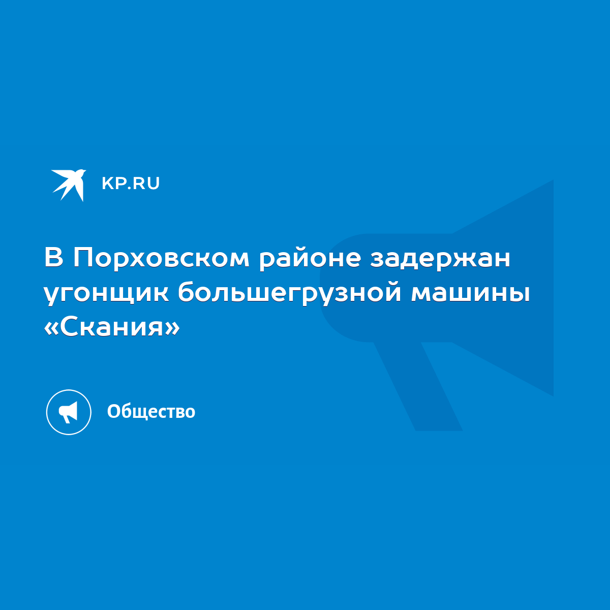 В Порховском районе задержан угонщик большегрузной машины «Скания» - KP.RU