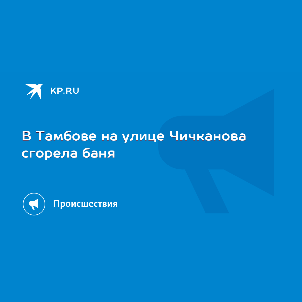 В Тамбове на улице Чичканова сгорела баня - KP.RU