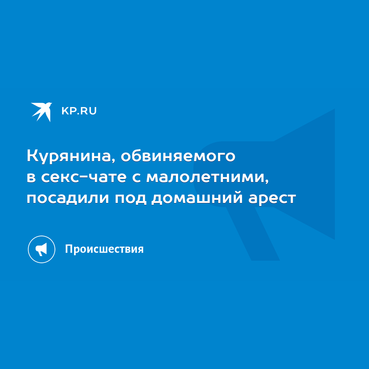 Курянина, обвиняемого в секс-чате с малолетними, посадили под домашний  арест - KP.RU