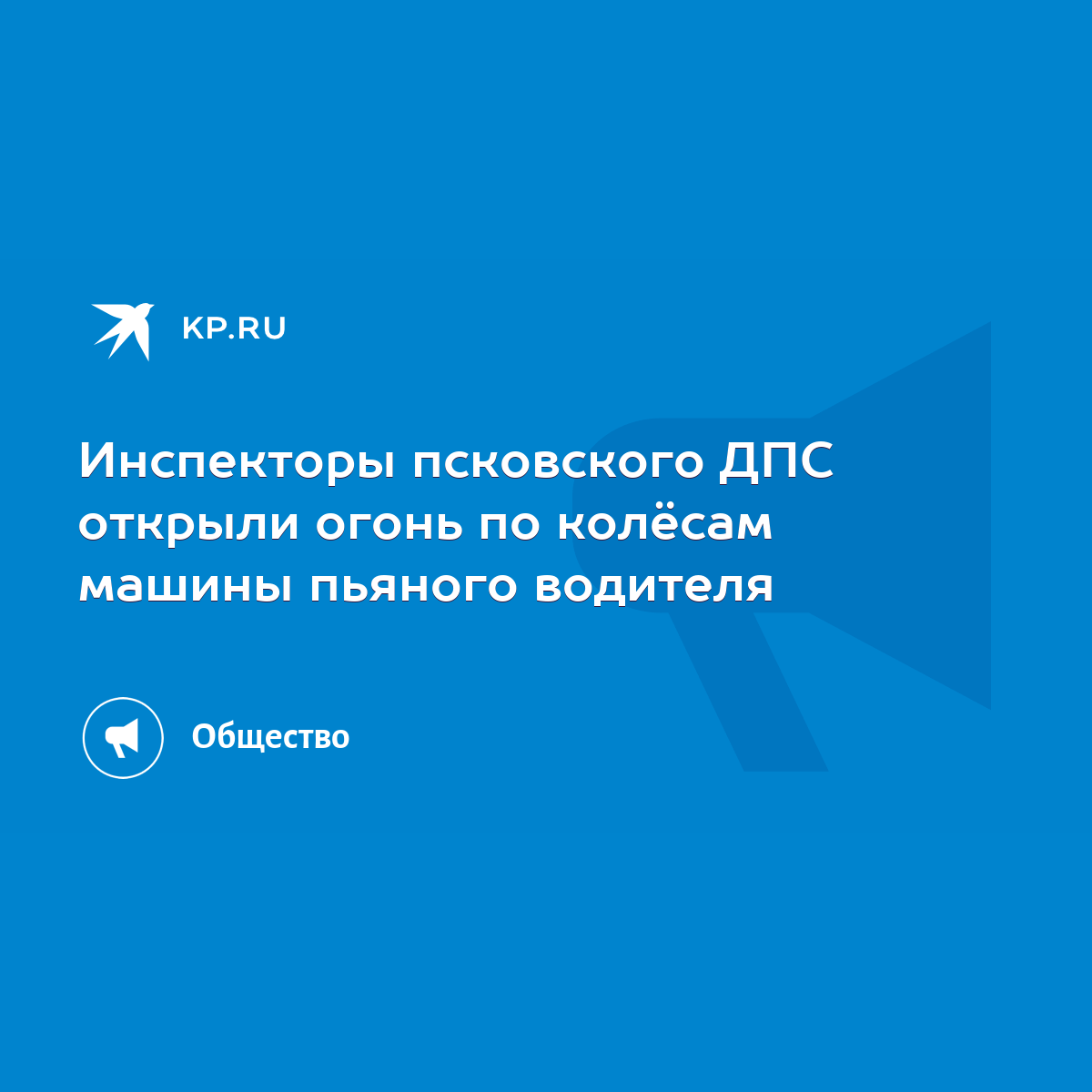 Инспекторы псковского ДПС открыли огонь по колёсам машины пьяного водителя  - KP.RU