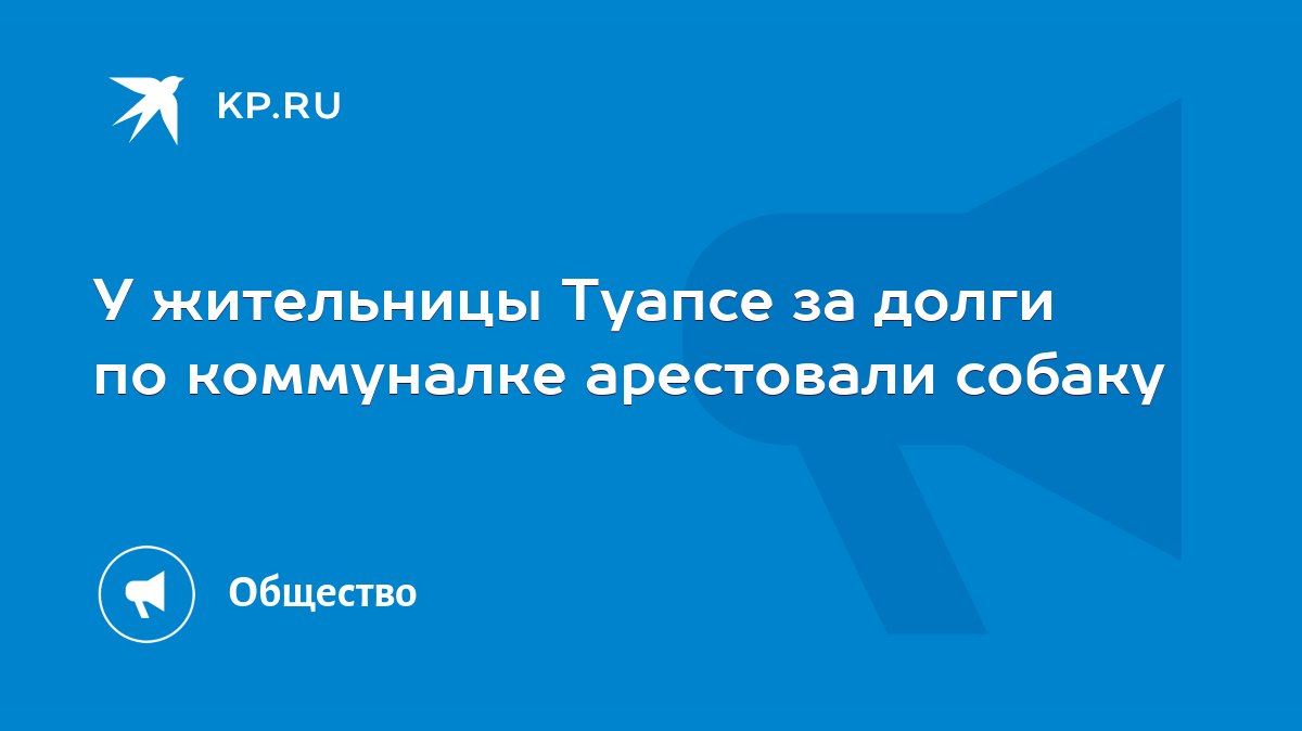 У жительницы Туапсе за долги по коммуналке арестовали собаку - KP.RU