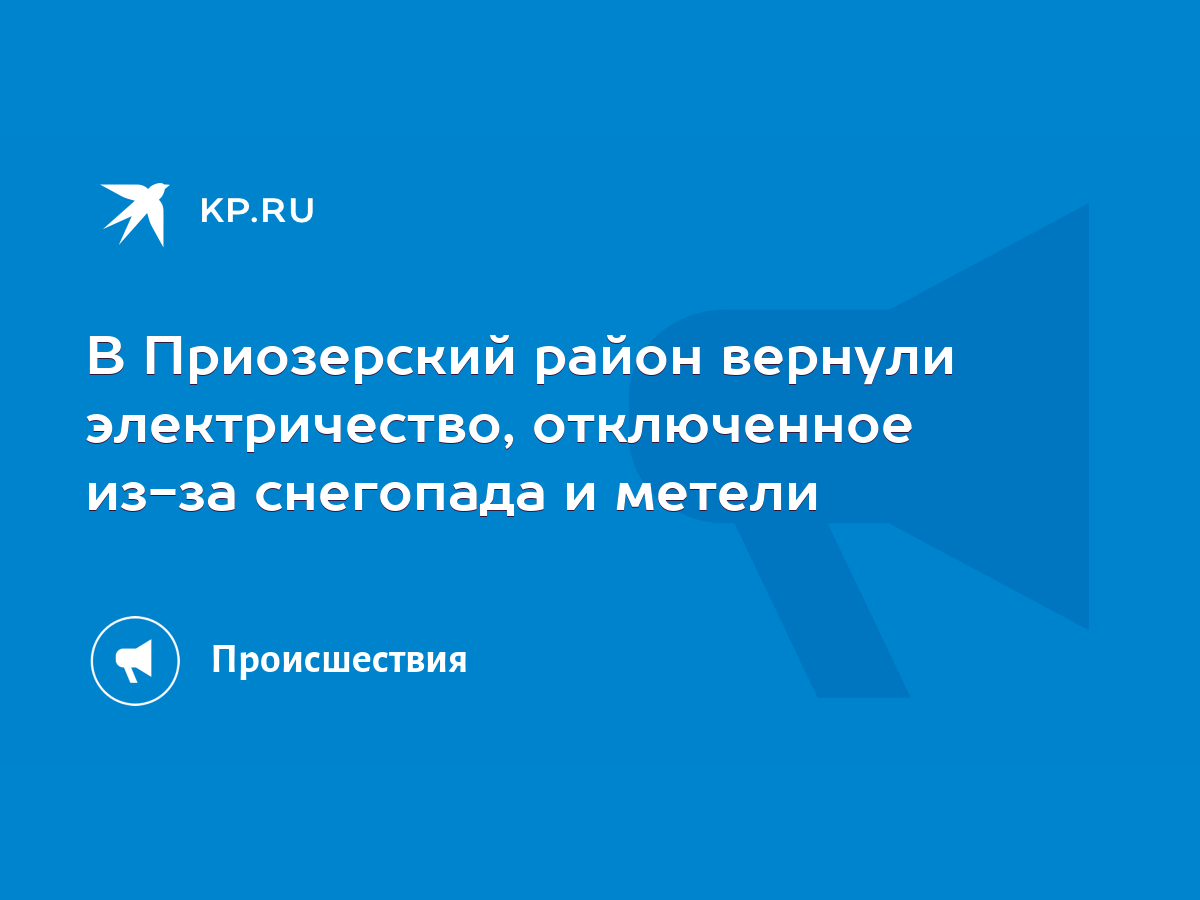 В Приозерский район вернули электричество, отключенное из-за снегопада и  метели - KP.RU