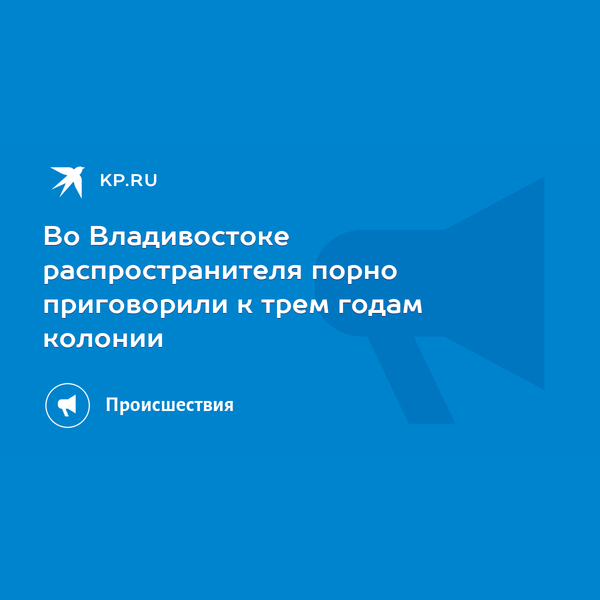 Во Владивостоке распространителя порно приговорили к трем годам колонии -  KP.RU