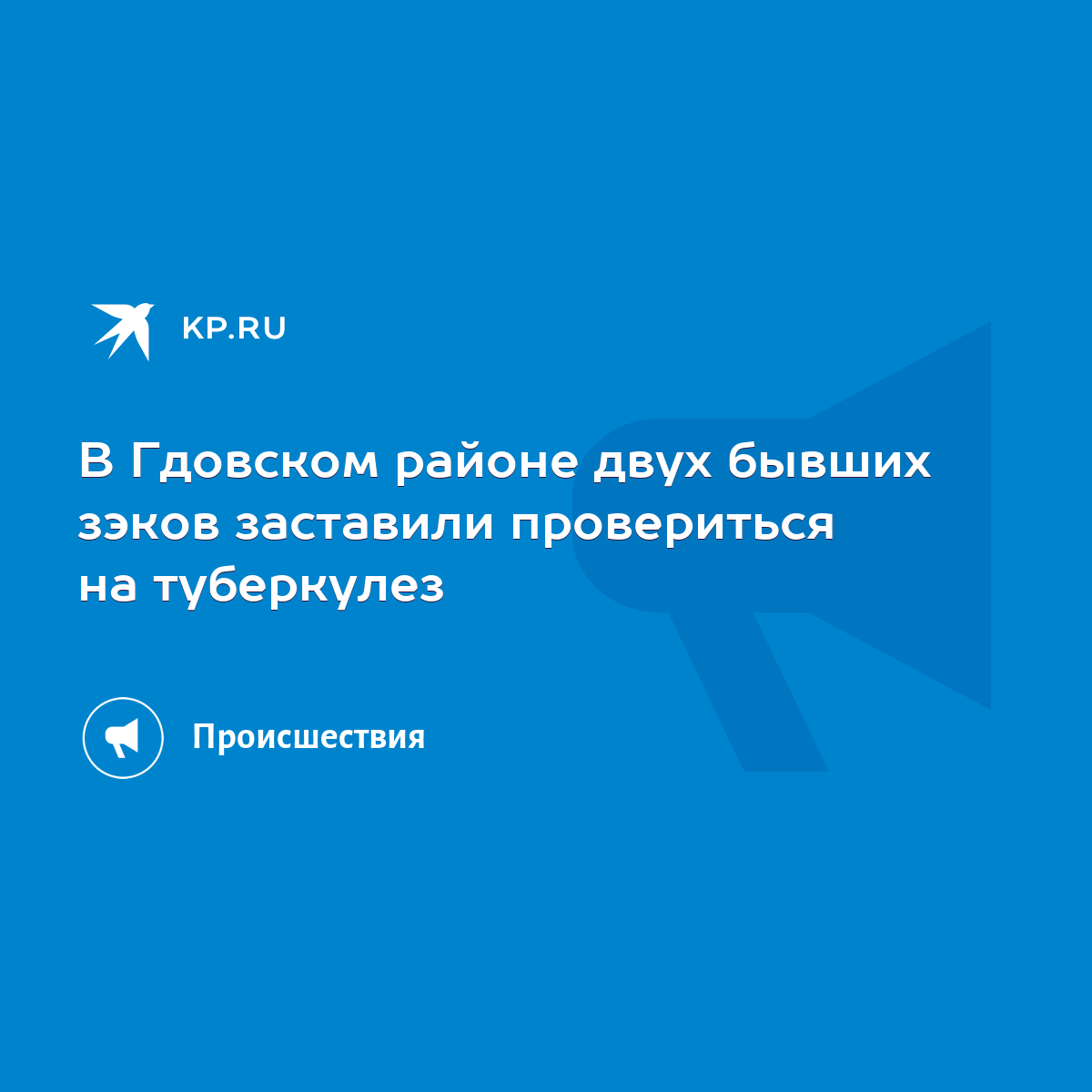 В Гдовском районе двух бывших зэков заставили провериться на туберкулез -  KP.RU