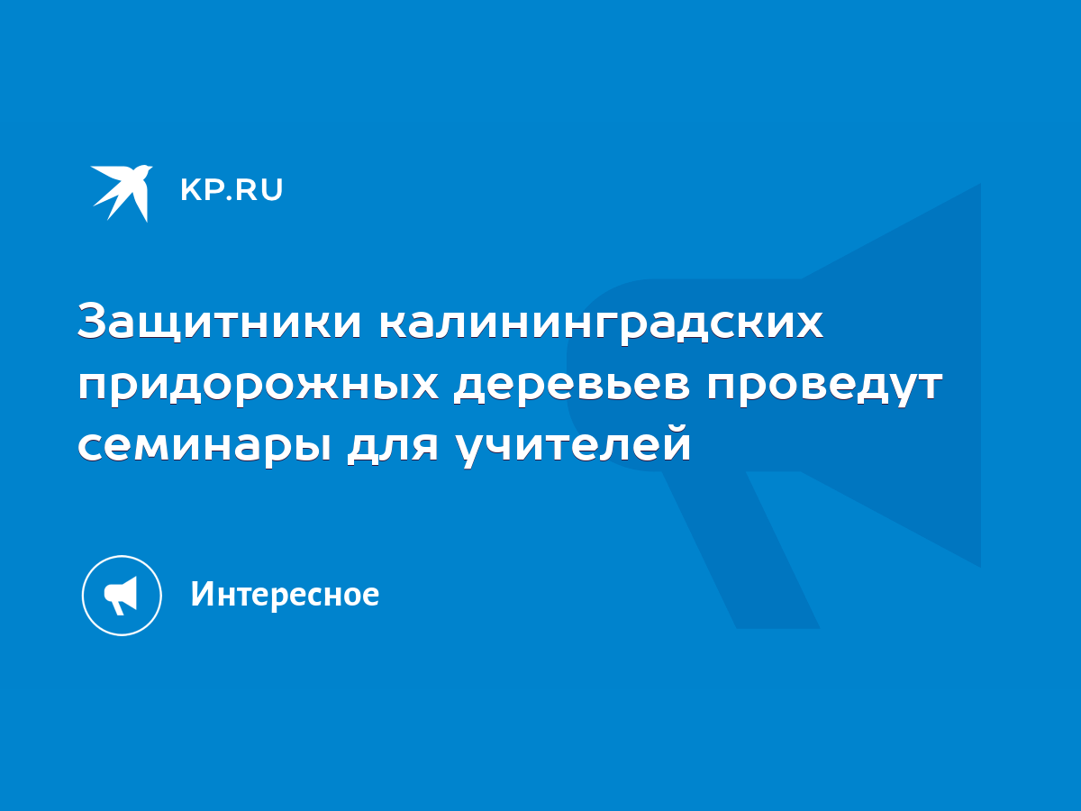 Защитники калининградских придорожных деревьев проведут семинары для  учителей - KP.RU