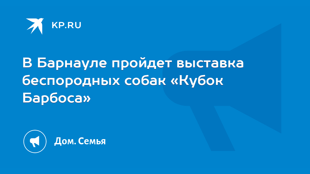 В Барнауле пройдет выставка беспородных собак «Кубок Барбоса» - KP.RU