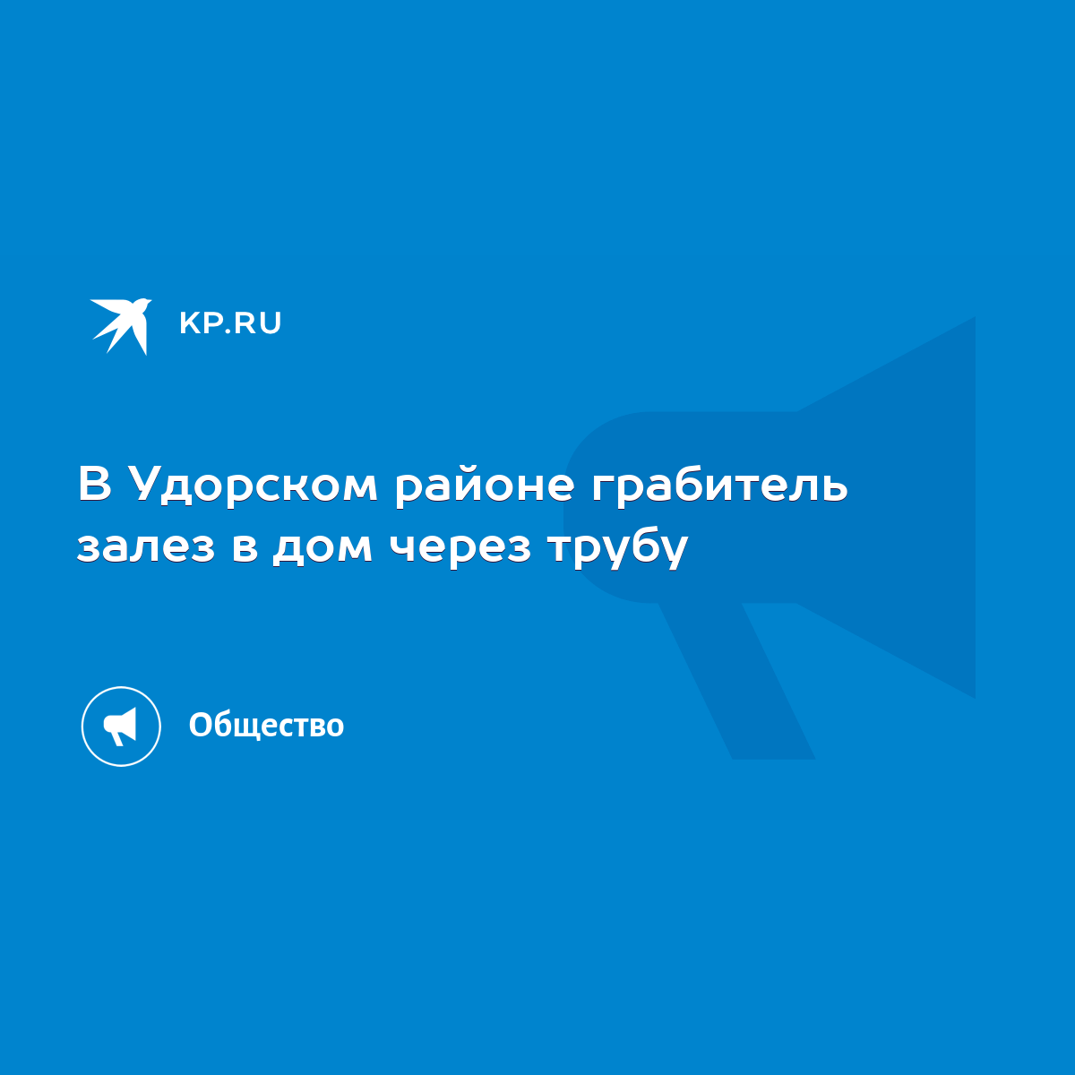 В Удорском районе грабитель залез в дом через трубу - KP.RU