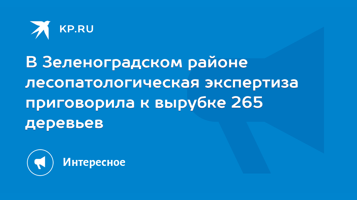 В Зеленоградском районе лесопатологическая экспертиза приговорила к вырубке  265 деревьев - KP.RU