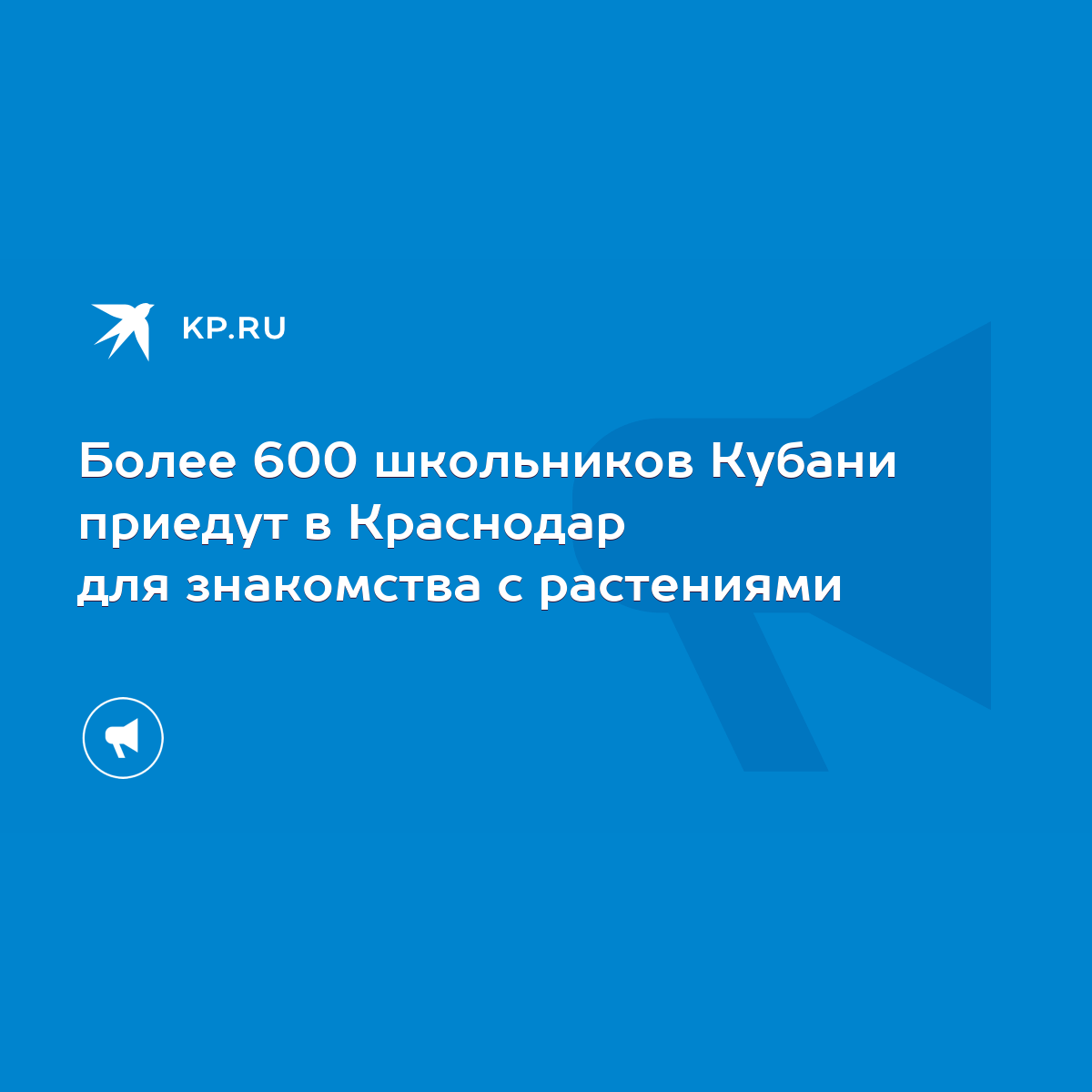 Более 600 школьников Кубани приедут в Краснодар для знакомства с растениями  - KP.RU