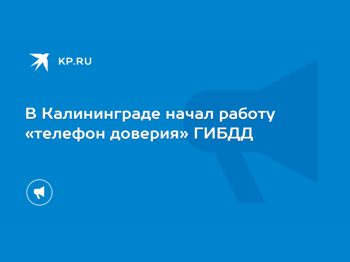 В Калининграде начал работу «телефон доверия» ГИБДД - KP.RU