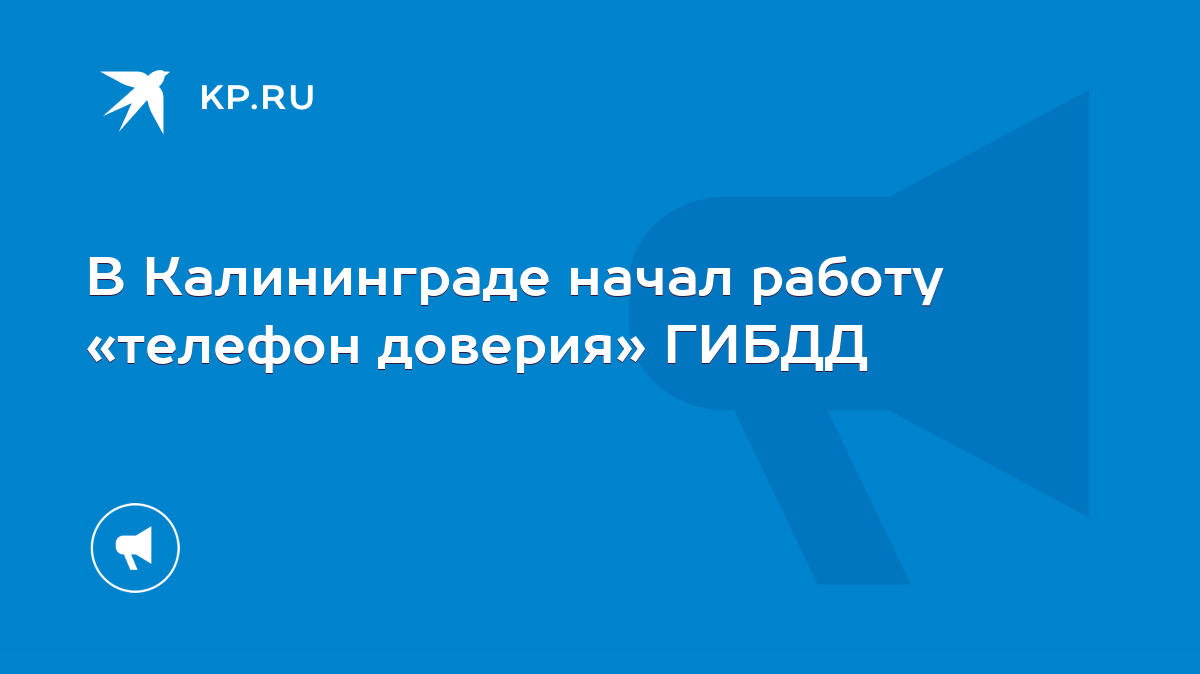 В Калининграде начал работу «телефон доверия» ГИБДД - KP.RU