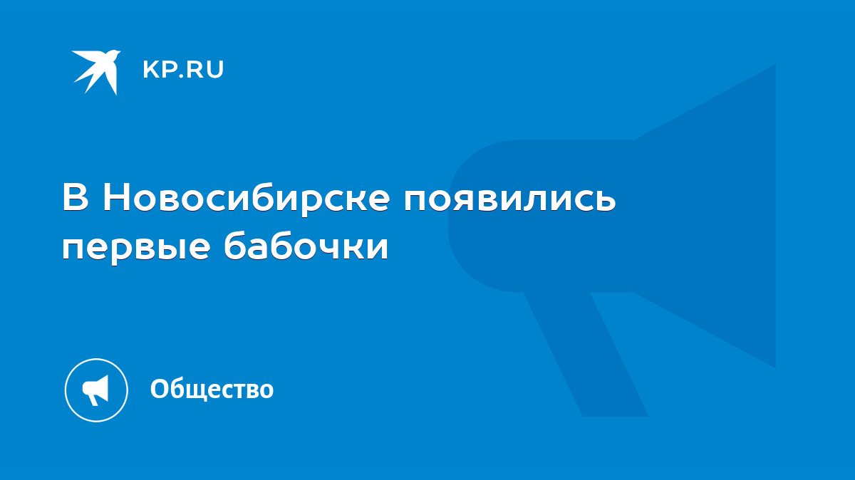 В Новосибирске появились первые бабочки - KP.RU