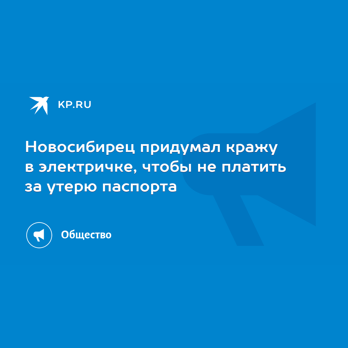 Новосибирец придумал кражу в электричке, чтобы не платить за утерю паспорта  - KP.RU