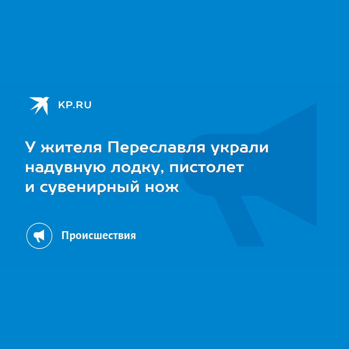 У жителя Переславля украли надувную лодку, пистолет и сувенирный нож - KP.RU