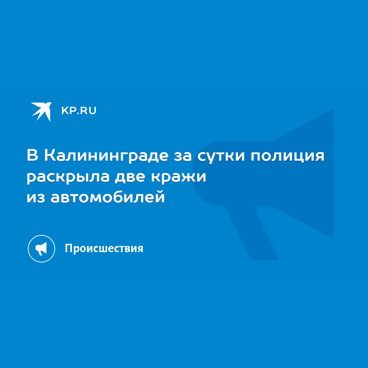 В Калининграде за сутки полиция раскрыла две кражи из автомобилей - KP.RU