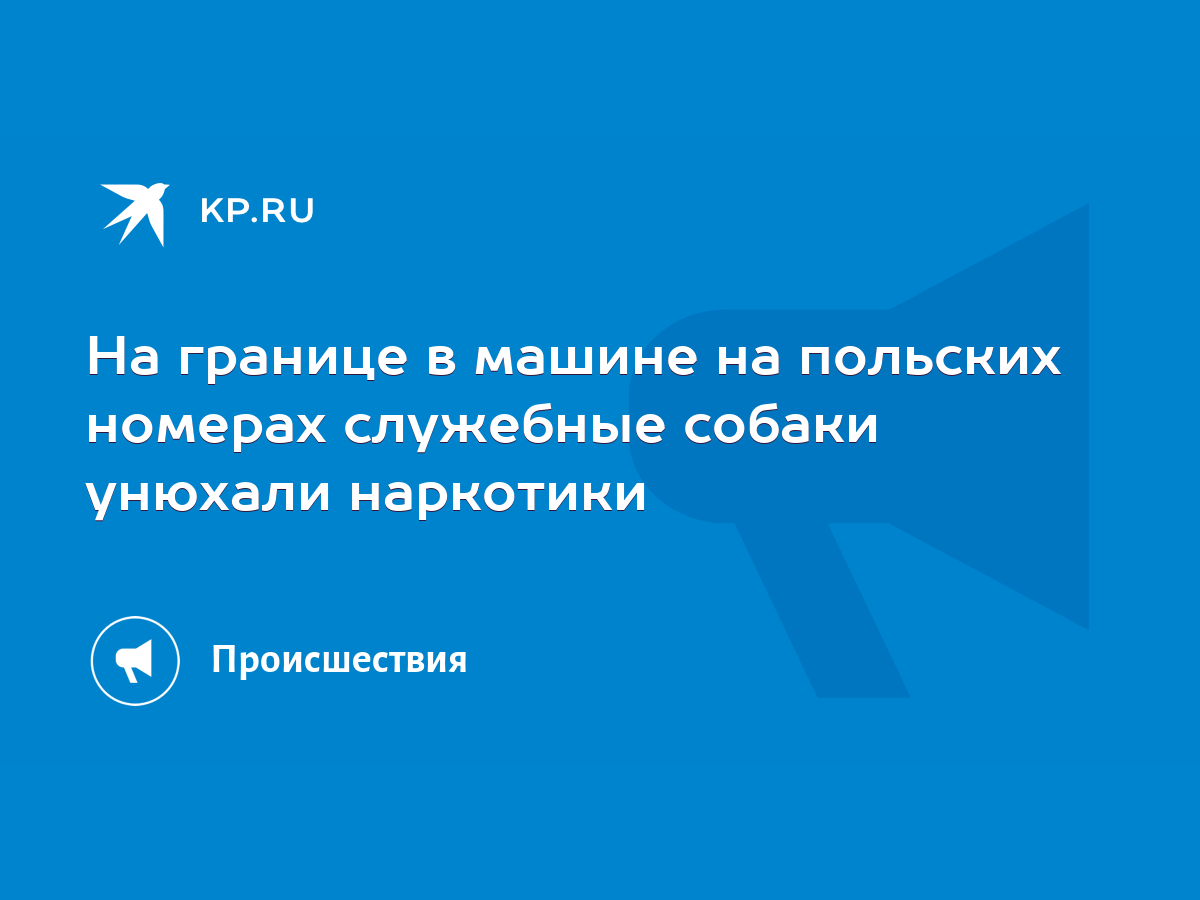 На границе в машине на польских номерах служебные собаки унюхали наркотики  - KP.RU