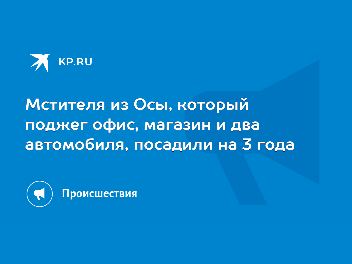 Мстителя из Осы, который поджег офис, магазин и два автомобиля, посадили на  3 года - KP.RU