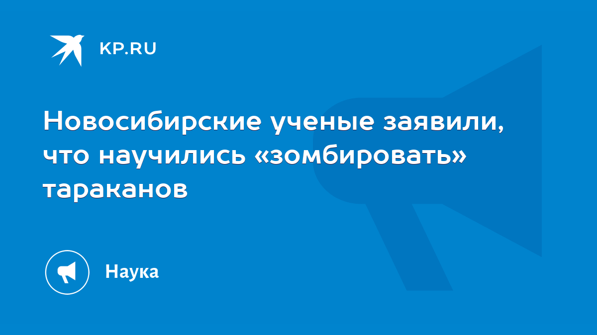 Новосибирские ученые заявили, что научились «зомбировать» тараканов - KP.RU