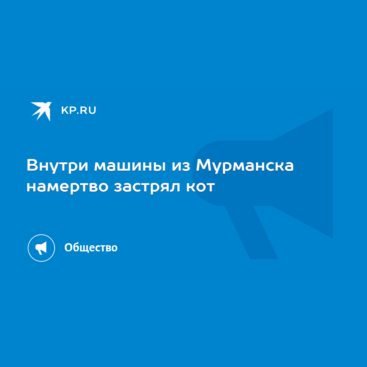 Внутри машины из Мурманска намертво застрял кот - KP.RU