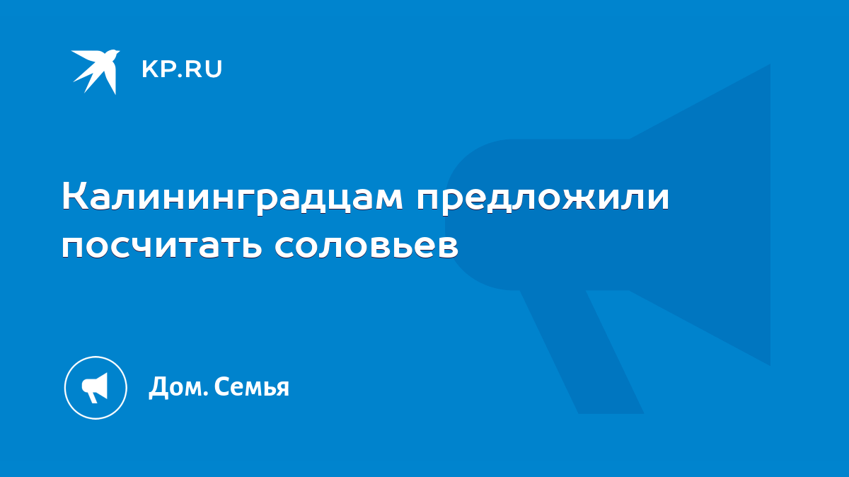 Калининградцам предложили посчитать соловьев - KP.RU