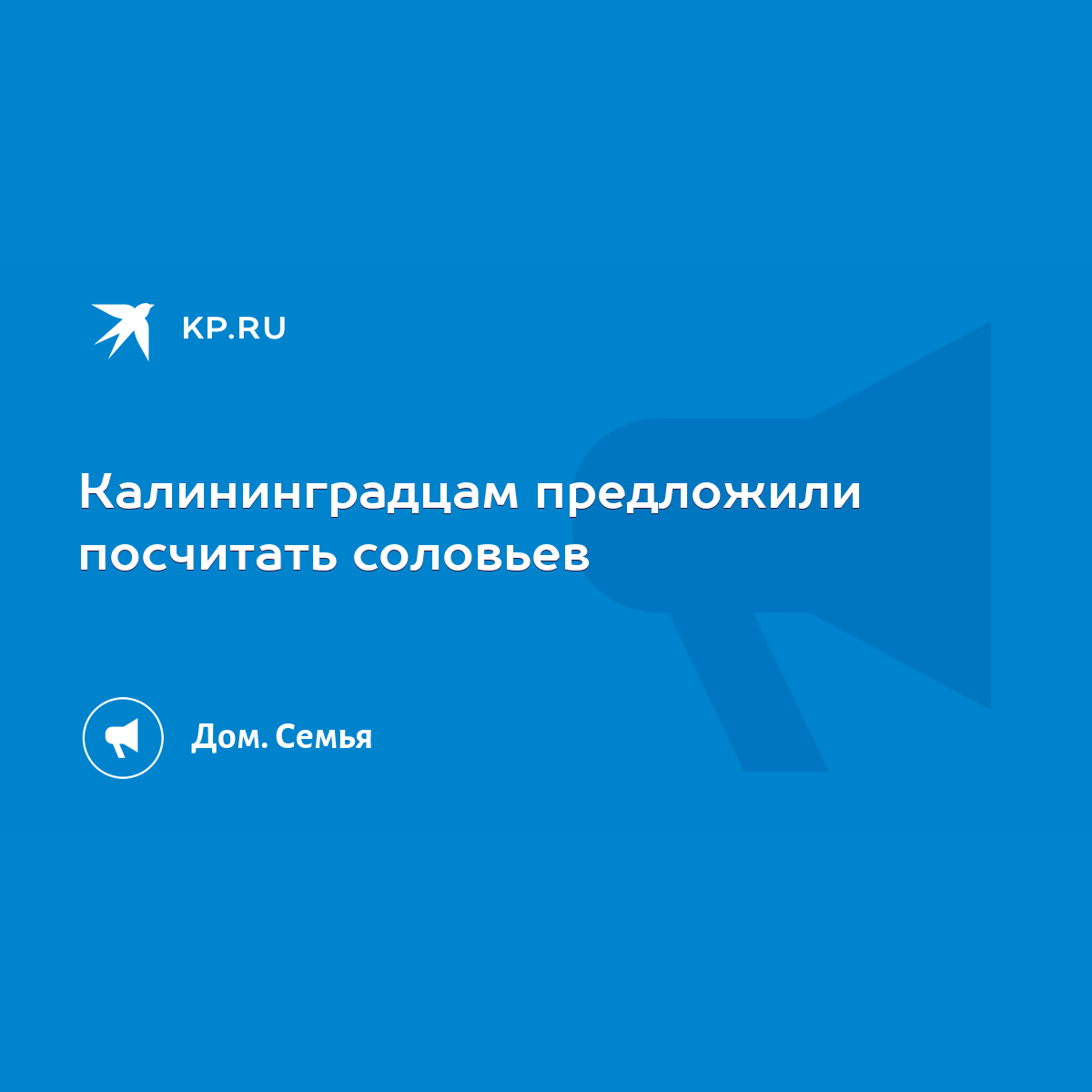 Калининградцам предложили посчитать соловьев - KP.RU