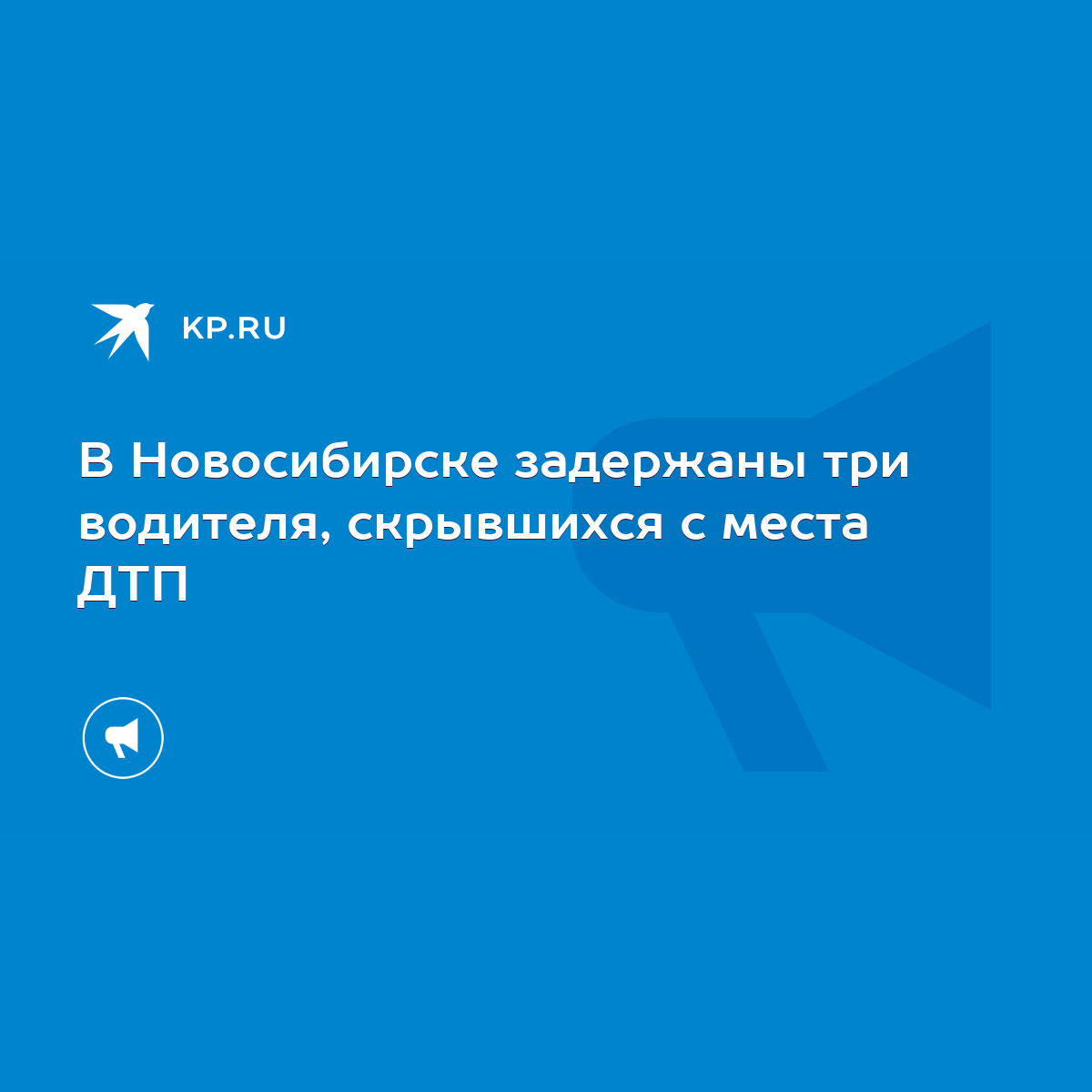 В Новосибирске задержаны три водителя, скрывшихся с места ДТП - KP.RU