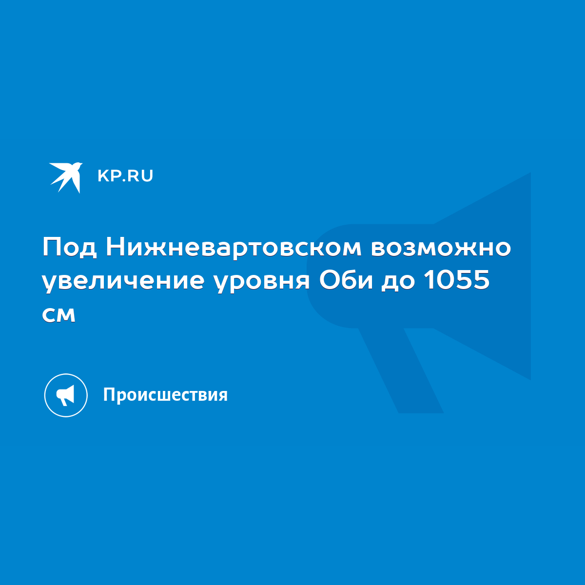 Под Нижневартовском возможно увеличение уровня Оби до 1055 см - KP.RU