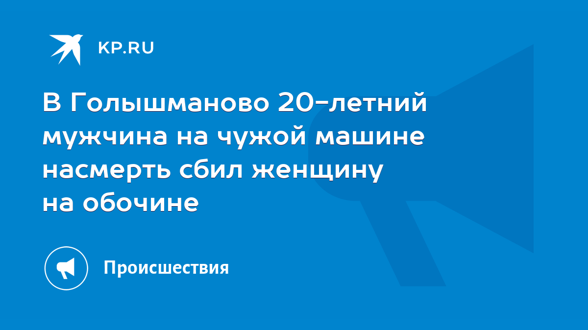 В Голышманово 20-летний мужчина на чужой машине насмерть сбил женщину на  обочине - KP.RU