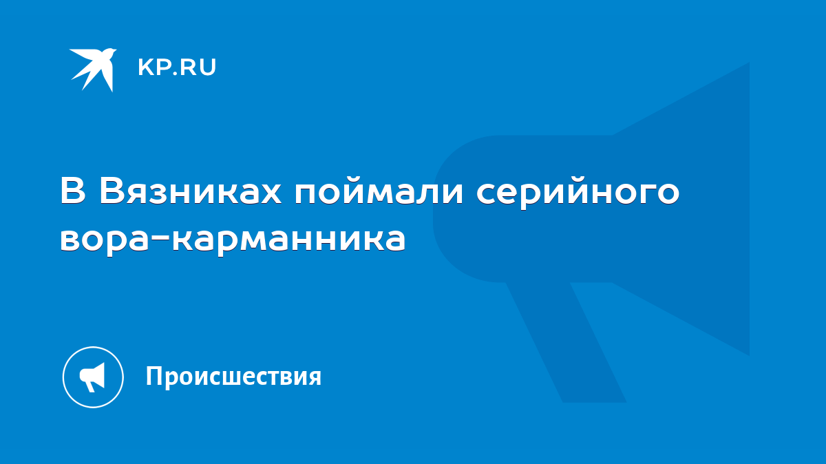 В Вязниках поймали серийного вора-карманника - KP.RU