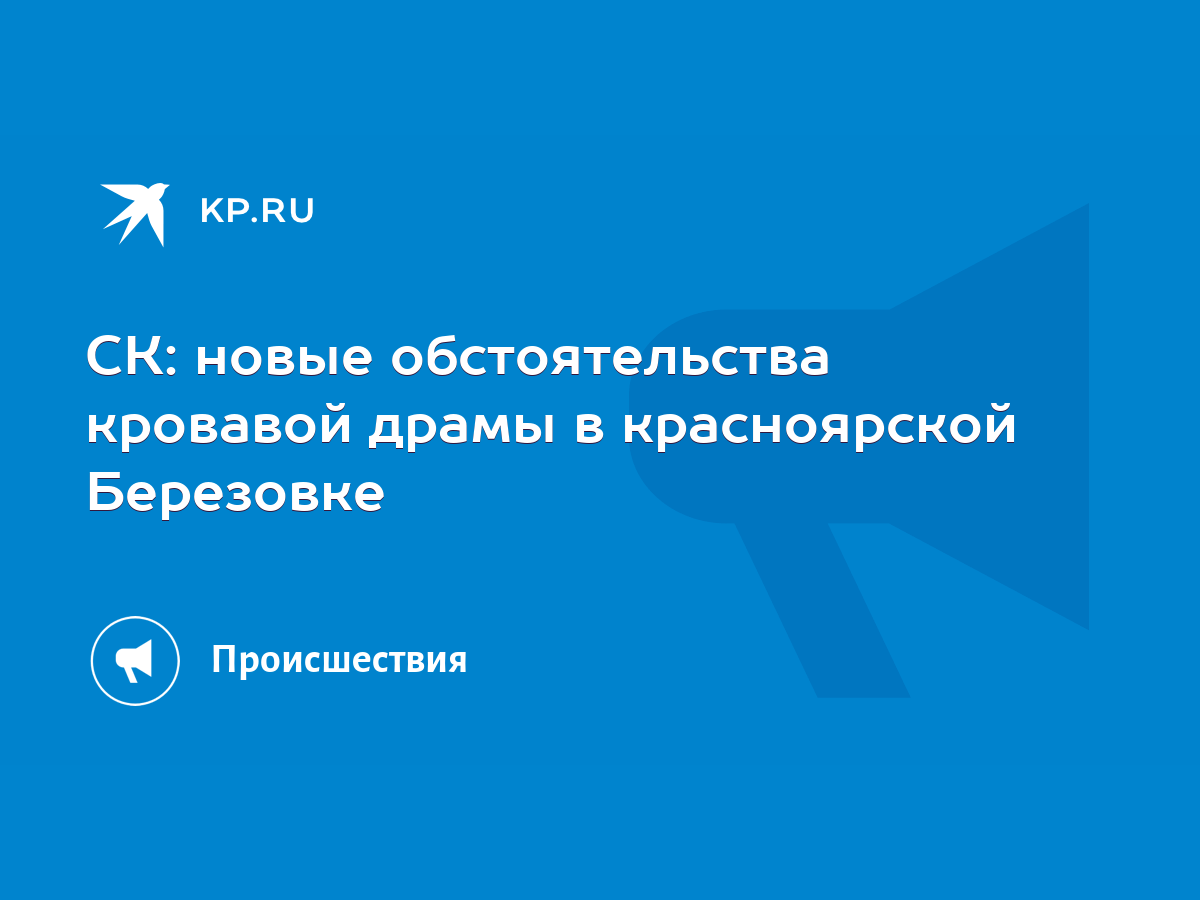 СК: новые обстоятельства кровавой драмы в красноярской Березовке - KP.RU