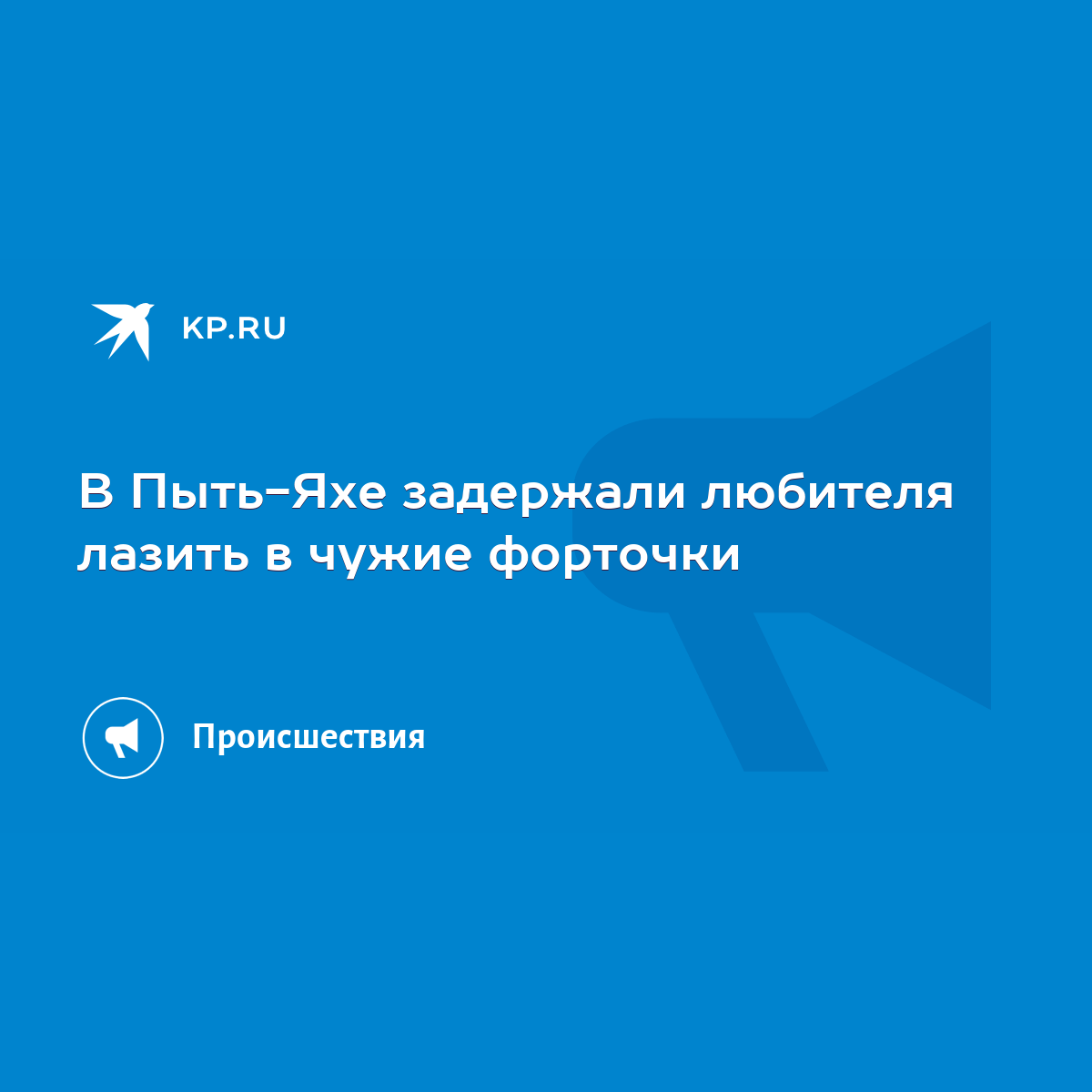 В Пыть-Яхе задержали любителя лазить в чужие форточки - KP.RU