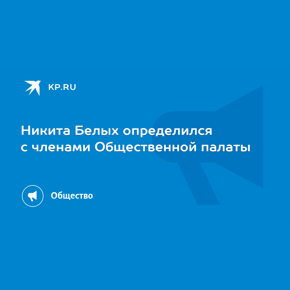 Никита Белых определился с членами Общественной палаты - KP.RU