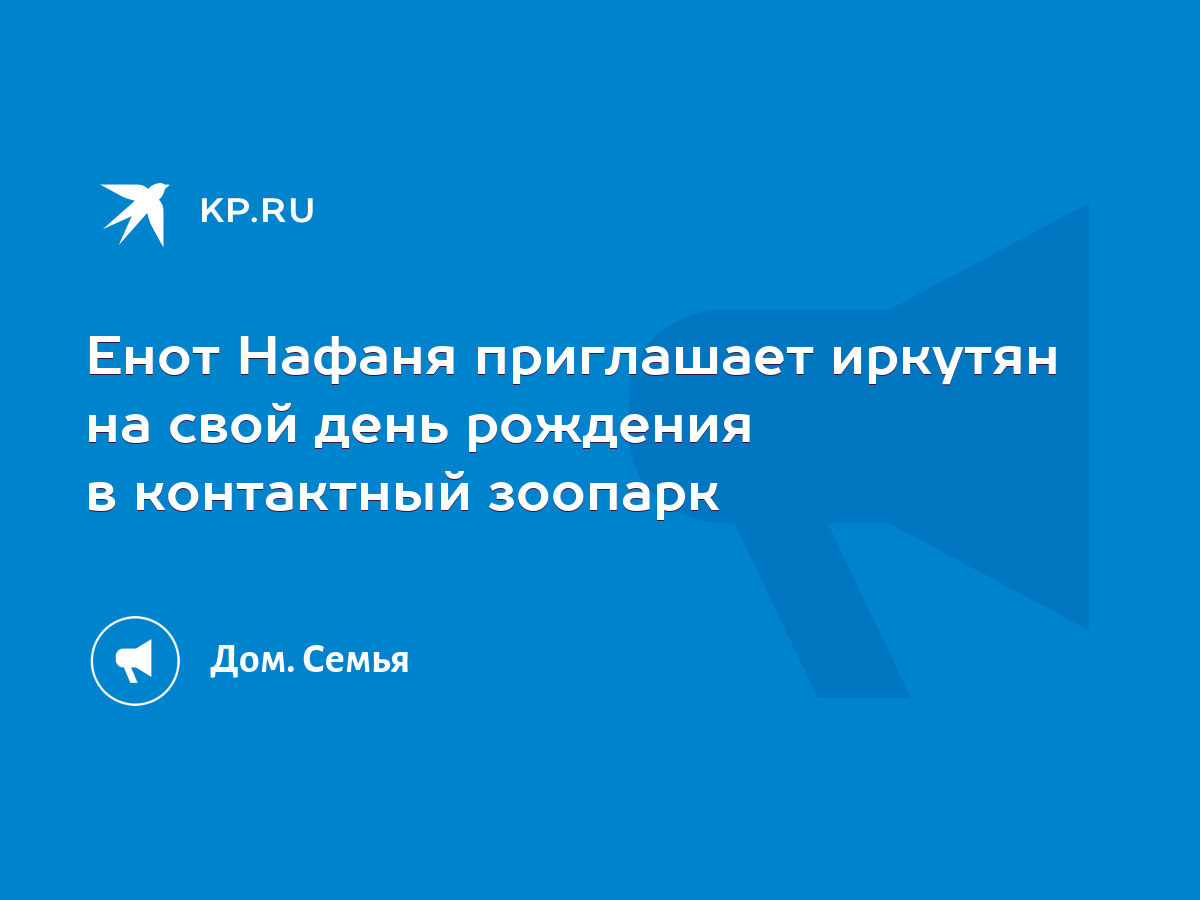 Енот Нафаня приглашает иркутян на свой день рождения в контактный зоопарк -  KP.RU